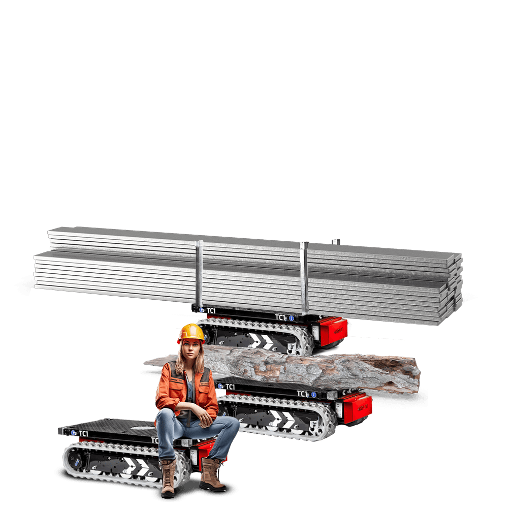 Dolly transporthondje
